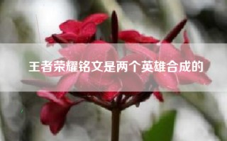 王者荣耀铭文是两个英雄合成的