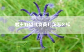 君主野望武将黄月英怎么样