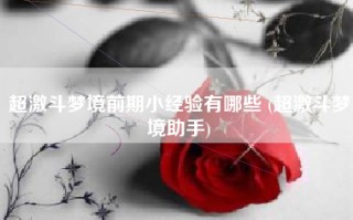 超激斗梦境前期小经验有哪些 (超激斗梦境助手)