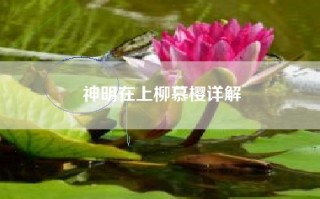 神明在上柳慕樱详解
