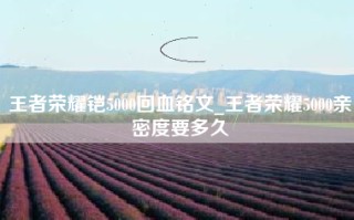 王者荣耀铠5000回血铭文_王者荣耀5000亲密度要多久