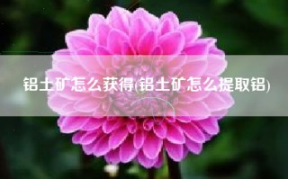 铝土矿怎么获得(铝土矿怎么提取铝)
