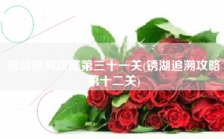 锈湖追溯攻略第三十一关(锈湖追溯攻略第十二关)