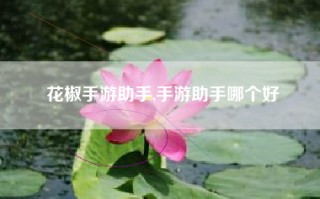花椒手游助手,手游助手哪个好