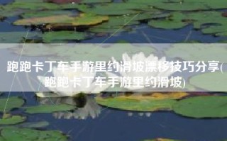 跑跑卡丁车手游里约滑坡漂移技巧分享(跑跑卡丁车手游里约滑坡)