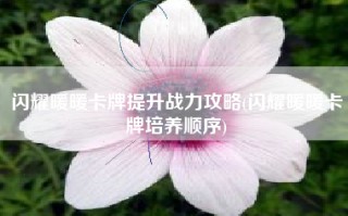 闪耀暖暖卡牌提升战力攻略(闪耀暖暖卡牌培养顺序)