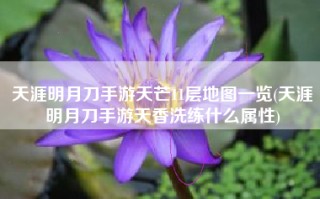 天涯明月刀手游天芒11层地图一览(天涯明月刀手游天香洗练什么属性)