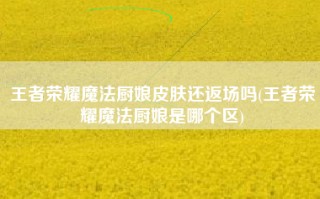王者荣耀魔法厨娘皮肤还返场吗(王者荣耀魔法厨娘是哪个区)