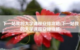 下一站我的大学课程安排攻略(下一站我的大学课程安排攻略)