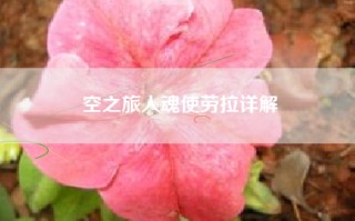 空之旅人魂使劳拉详解