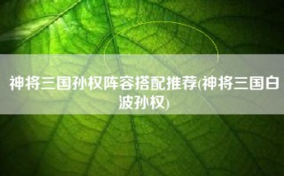 神将三国孙权阵容搭配推荐(神将三国白波孙权)