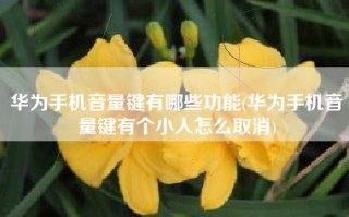 华为手机音量键有哪些功能(华为手机音量键有个小人怎么取消)