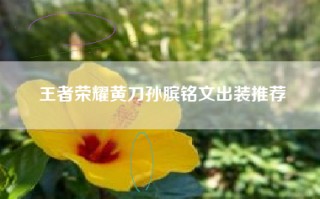 王者荣耀黄刀孙膑铭文出装推荐