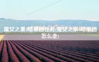魔女之泉3暗黑团任务(魔女之泉3暗黑团怎么走)