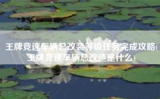 王牌竞速车辆总改装等级任务完成攻略(王牌竞速车辆总改造是什么)