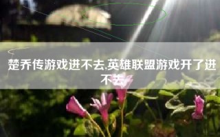 楚乔传游戏进不去,英雄联盟游戏开了进不去