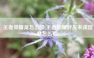 王者荣耀晟怎么读(王者荣耀好友未读信息怎么看)