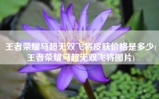 王者荣耀马超无双飞将皮肤价格是多少(王者荣耀马超无双飞将图片)