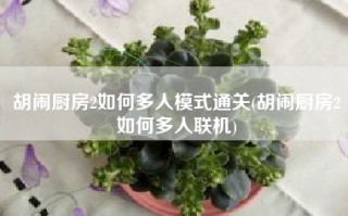 胡闹厨房2如何多人模式通关(胡闹厨房2如何多人联机)