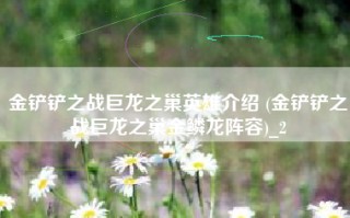 金铲铲之战巨龙之巢英雄介绍 (金铲铲之战巨龙之巢金鳞龙阵容)_2