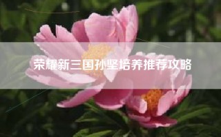 荣耀新三国孙坚培养推荐攻略
