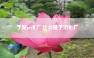 手游pr推广,什么是手游推广