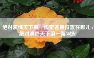 绝对演绎天下第一线索答案位置在哪儿 (绝对演绎天下第一第30场)