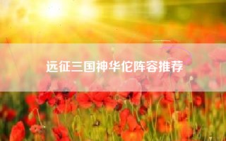 远征三国神华佗阵容推荐