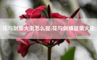 花与剑萤火虫怎么捉(花与剑捕捉萤火虫)