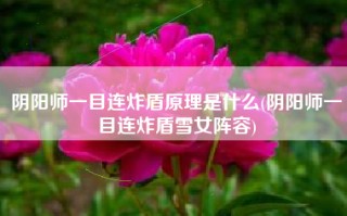 阴阳师一目连炸盾原理是什么(阴阳师一目连炸盾雪女阵容)