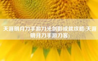 天涯明月刀手游刀光剑影成就攻略(天涯明月刀手游刀客)