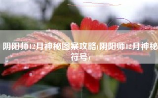 阴阳师12月神秘图案攻略(阴阳师12月神秘符号)