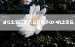 游戏土豪玩家,怎么看待游戏中的土豪玩家