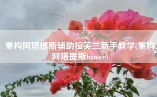 重构阿塔提斯辅助拉芙兰新手教学(重构阿塔提斯hanser)