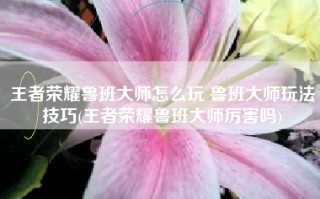 王者荣耀鲁班大师怎么玩 鲁班大师玩法技巧(王者荣耀鲁班大师厉害吗)