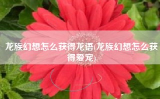 龙族幻想怎么获得龙语(龙族幻想怎么获得爱宠)