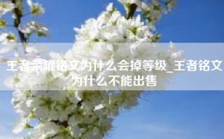 王者荣耀铭文为什么会掉等级_王者铭文为什么不能出售