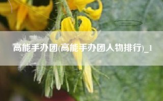 高能手办团(高能手办团人物排行)_1