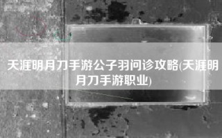 天涯明月刀手游公子羽问诊攻略(天涯明月刀手游职业)