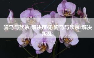 骑马与砍杀2解决匪徒(骑马与砍杀2解决叛乱)