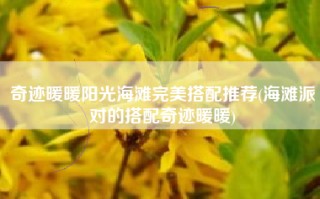 奇迹暖暖阳光海滩完美搭配推荐(海滩派对的搭配奇迹暖暖)