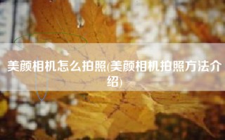 美颜相机怎么拍照(美颜相机拍照方法介绍)