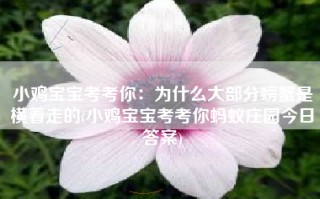 小鸡宝宝考考你：为什么大部分螃蟹是横着走的(小鸡宝宝考考你蚂蚁庄园今日答案)