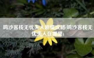 鸣沙客栈无忧夫人剧情攻略(鸣沙客栈无忧夫人在哪里)