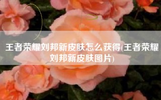 王者荣耀刘邦新皮肤怎么获得(王者荣耀刘邦新皮肤图片)