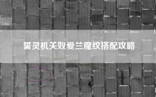 誓灵机关奴爱兰魔纹搭配攻略