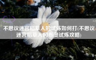 不思议迷宫稻草人的试炼如何打(不思议迷宫稻草人冈布奥试炼攻略)