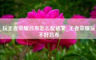 玩王者荣耀吕布怎么配铭文_王者荣耀玩不好吕布