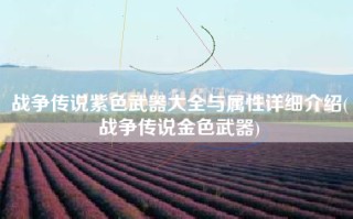 战争传说紫色武器大全与属性详细介绍(战争传说金色武器)