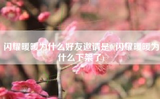 闪耀暖暖为什么好友邀请是0(闪耀暖暖为什么下架了)